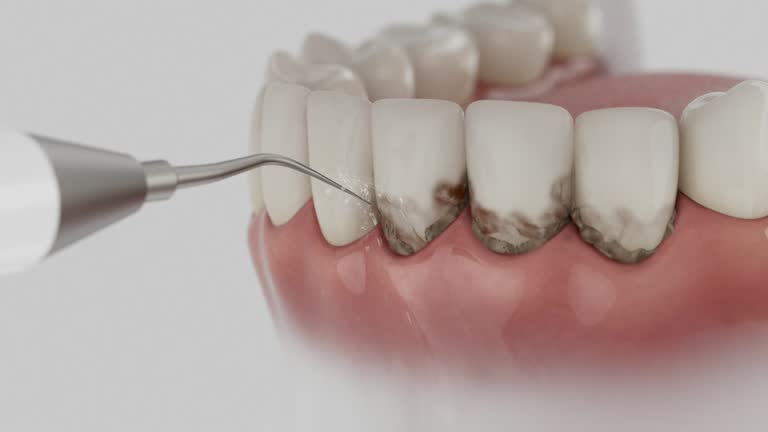Reliable Dental contractor in Valparaiso, IN by Dentist Open Now